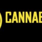Cannabis 21 Plus logo