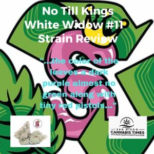 No Till Kings White Widow Insta Post Image
