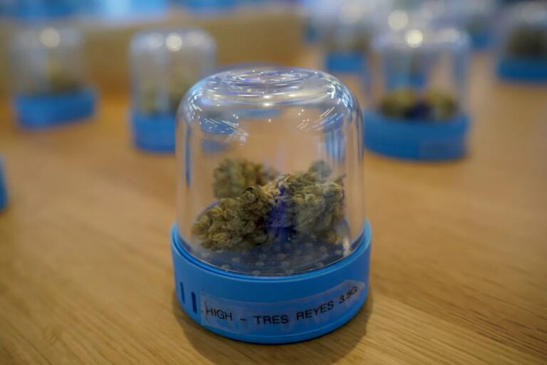 At the Cookies dispensary in Mission Valley in 2021, buds are on display in sealed containers for customers to look over. A new proposal would allow twice as many cannabis dispensaries in San Diego in an effort to boost industry equity.(Nelvin C. Cepeda/The San Diego Union-Tribune)