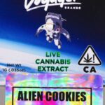Voyager Alien Cookies