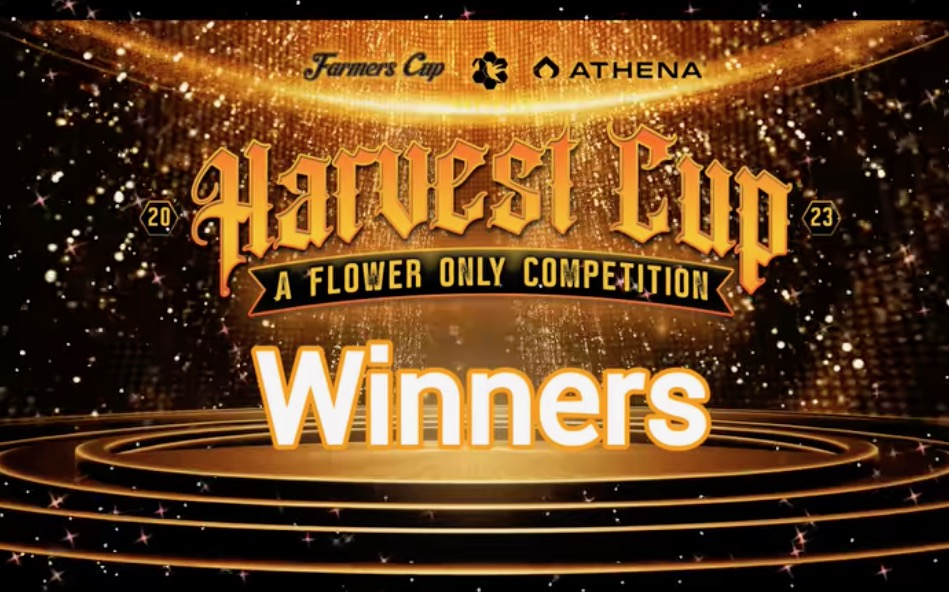Harvest Cup Winners artwork