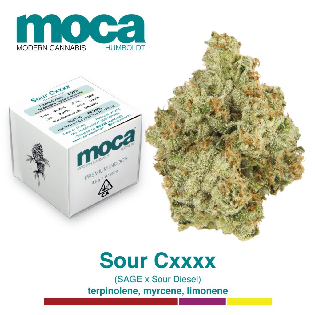 MOCA Flowers - Sour Cxxxx image of 1/8th jar and box