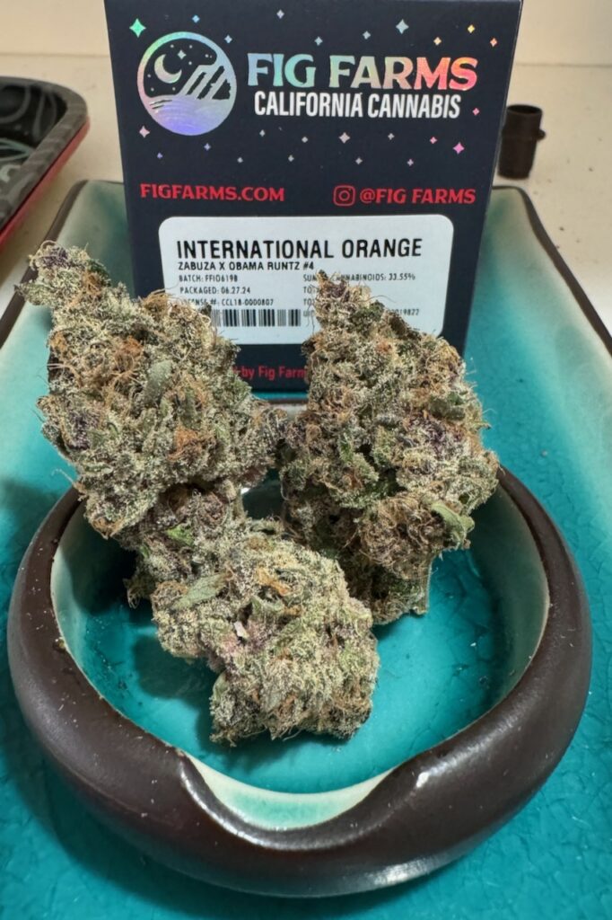 Fig Farms International Orange