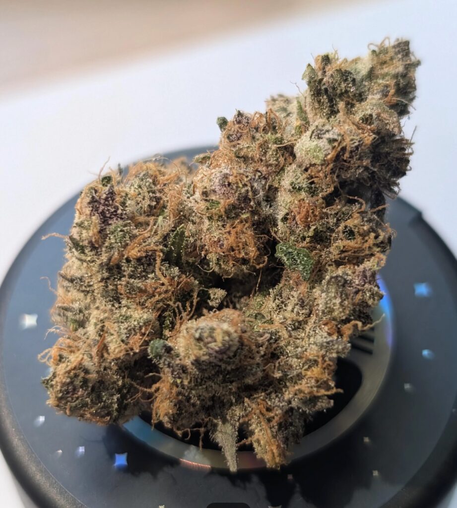 Strain Review Image Fig Farms International Orange​