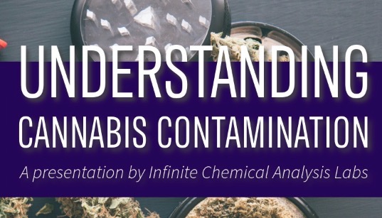 Understanding Cannabis Sep 24jpeg