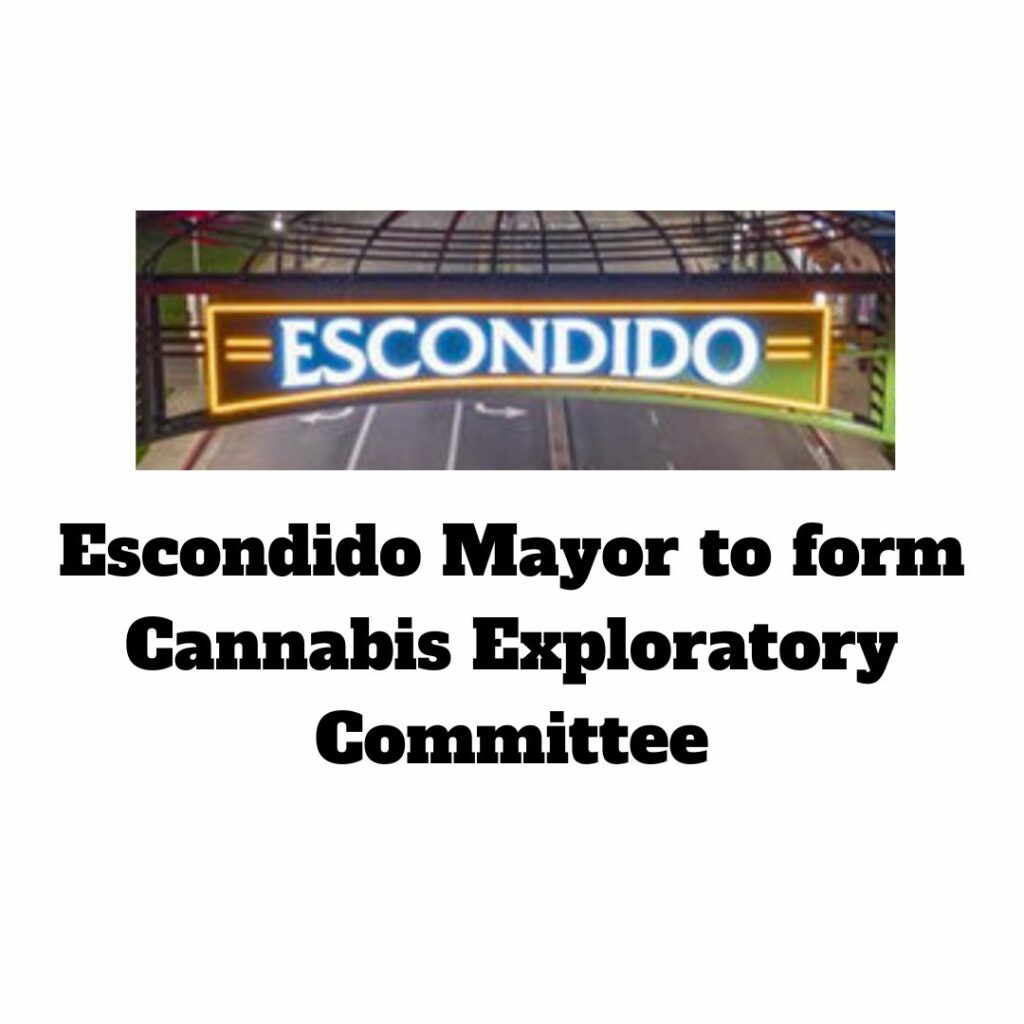 Escondido Mayor to Form Exploratory Cannabis Committee