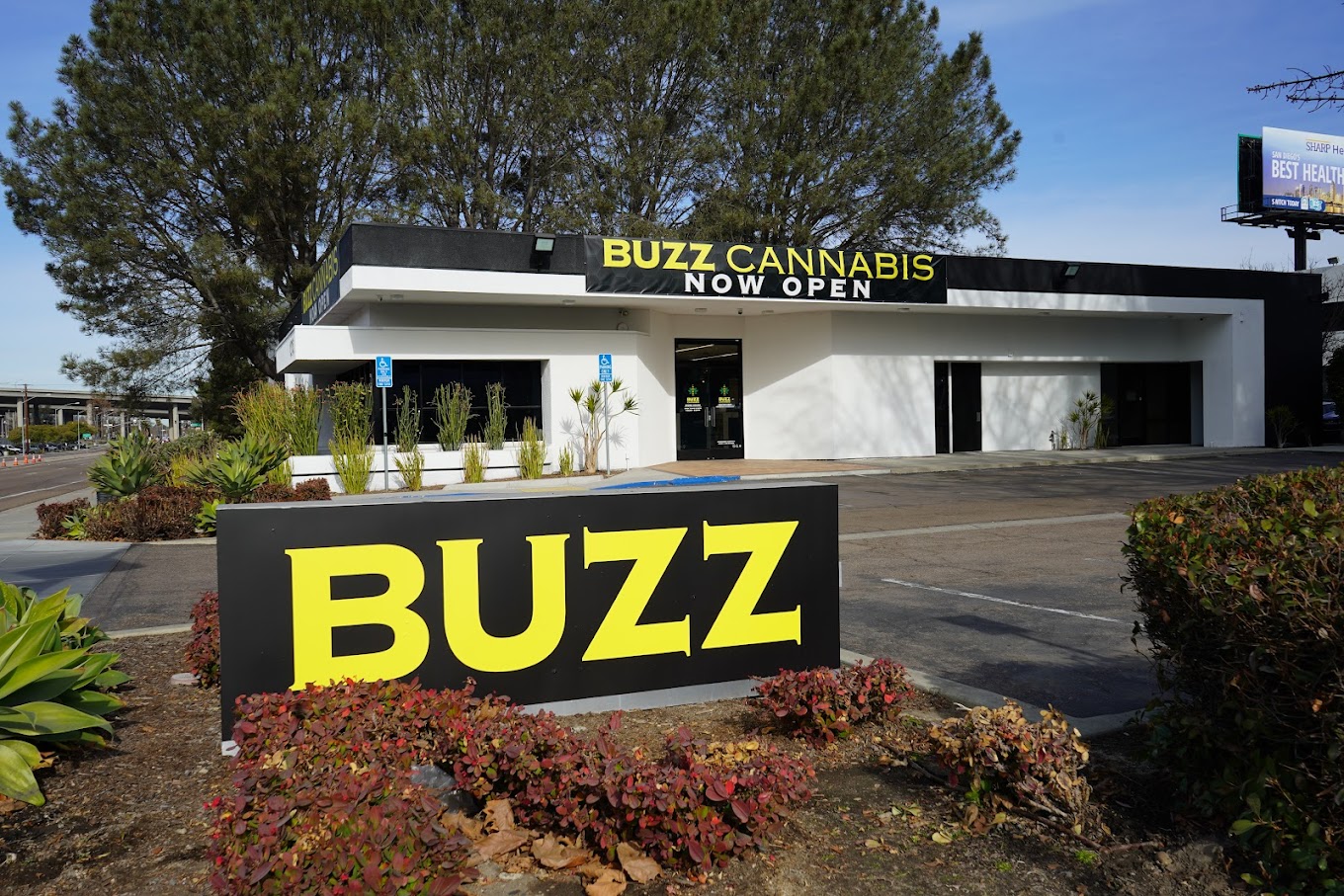 Buzz Cannabis Sorrento Valley exterior photo