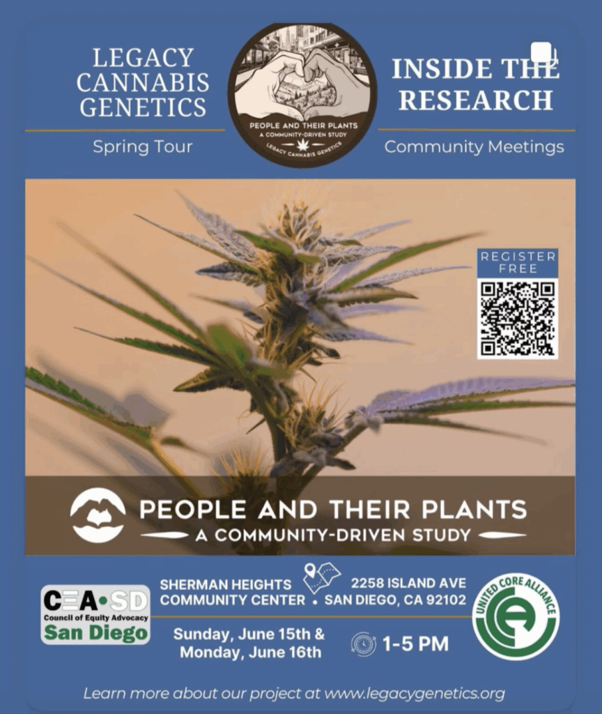 Legacy Cannabis Genetics Spring Tour In San Diego