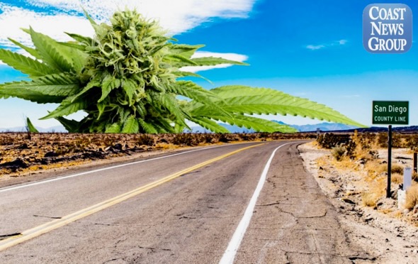 Coast News: Rural communities push back on county cannabis equity program